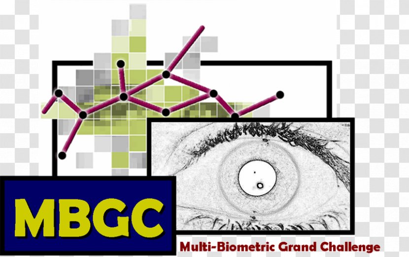 Iris Recognition Biometrics Facial System Multiple Biometric Grand Challenge Wikipedia - Diagram - Text Transparent PNG