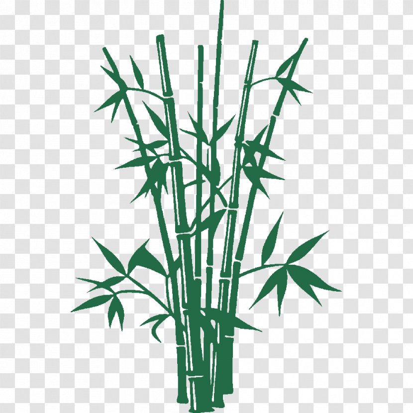 Vector Graphics Bamboo Illustration Shutterstock - Grass - Zen Transparent PNG