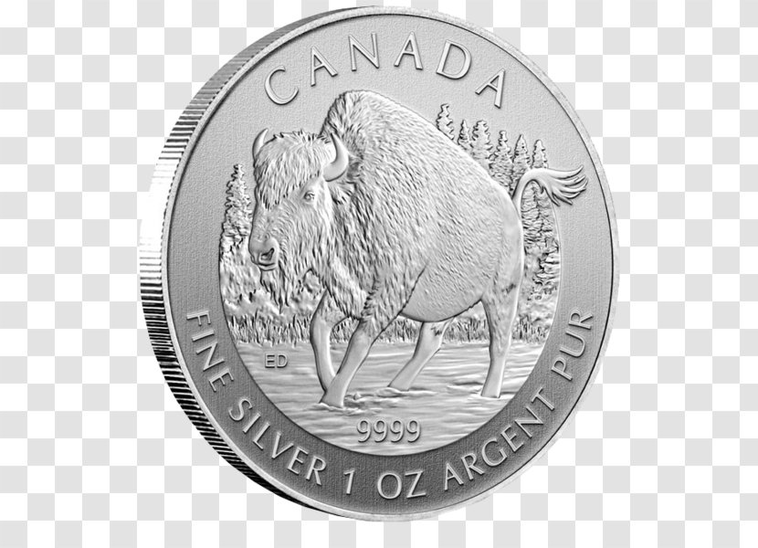 Silver Coin Canada Quarter Transparent PNG