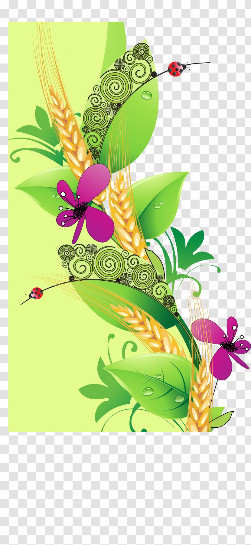 Leaf Border - Tree - Floral Design Transparent PNG