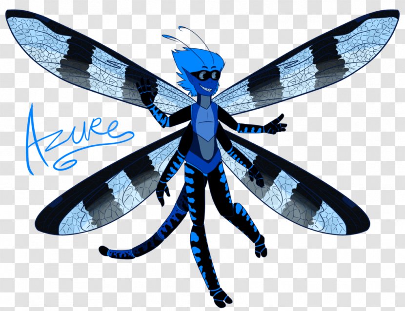 Dragonfly Insect Pollinator Wing Microsoft Azure - Arthropod Transparent PNG