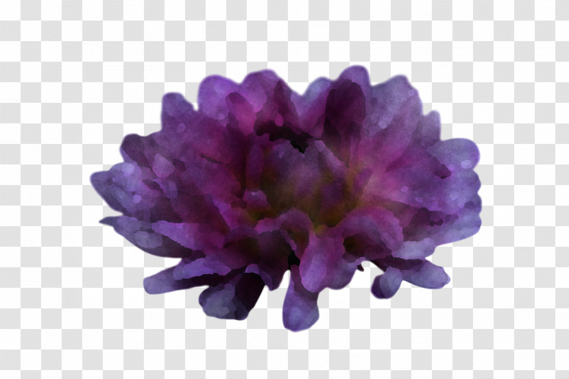 Lavender Transparent PNG