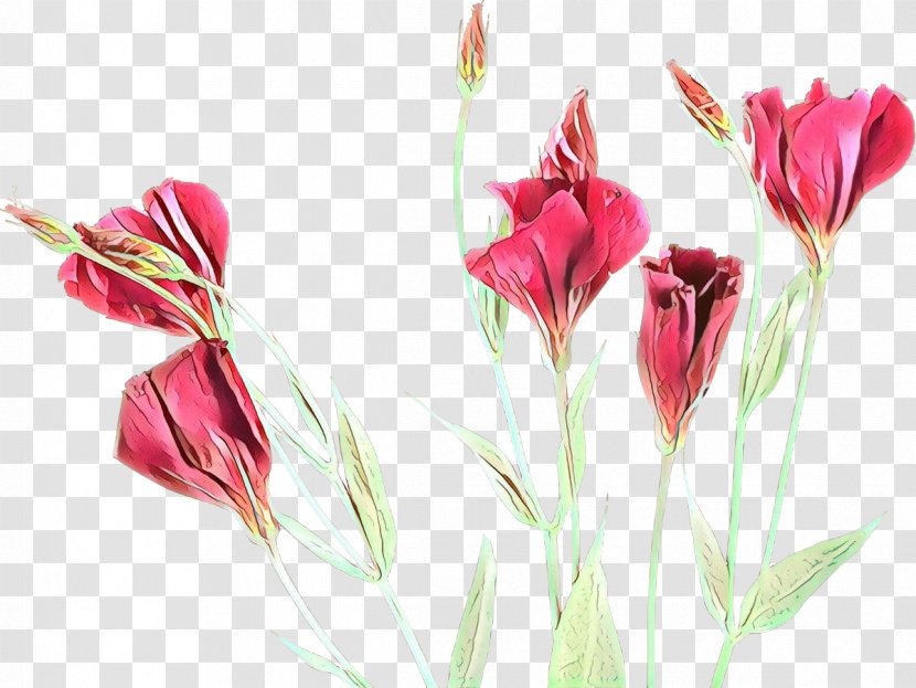 Flowers Background - Cartoon - Artificial Flower Candy Cane Sorrel Transparent PNG