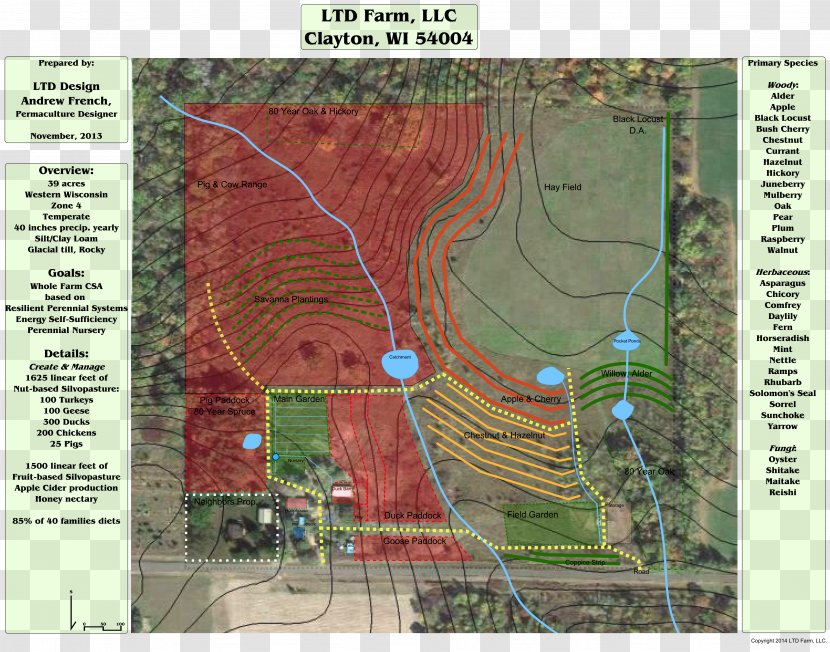 Land Lot Map Real Property Tuberculosis Transparent PNG