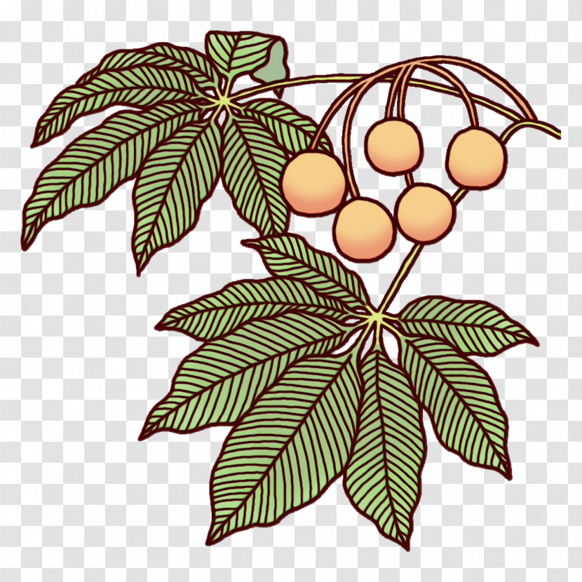 Leaf Fruit Flower Plants Biology Transparent PNG