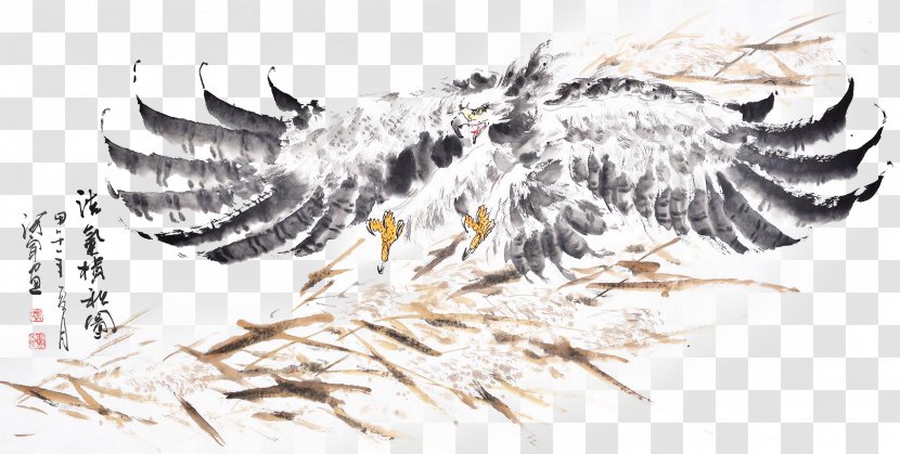 U6c34u58a8u753bu9e70 Ink Wash Painting - Feather - Eagle Traditional Decorative Transparent PNG