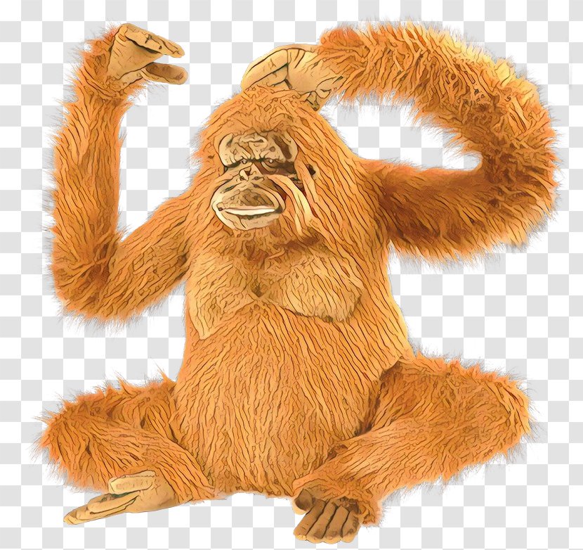 Orangutan Monkey Great Apes Fur Terrestrial Animal - Ape - Organism Transparent PNG