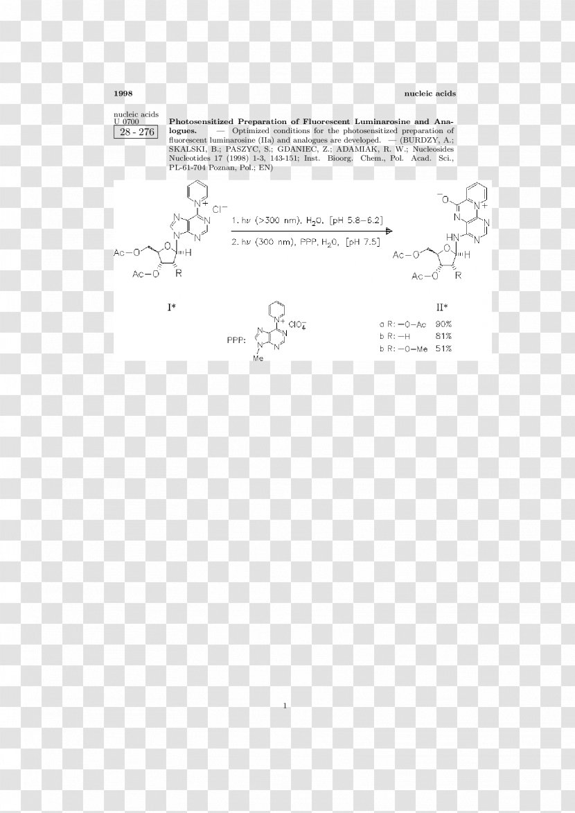 Document White Point - Tree - Design Transparent PNG