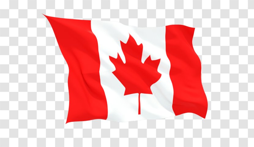 Flag Of Canada Maple Leaf O - Study In Transparent PNG