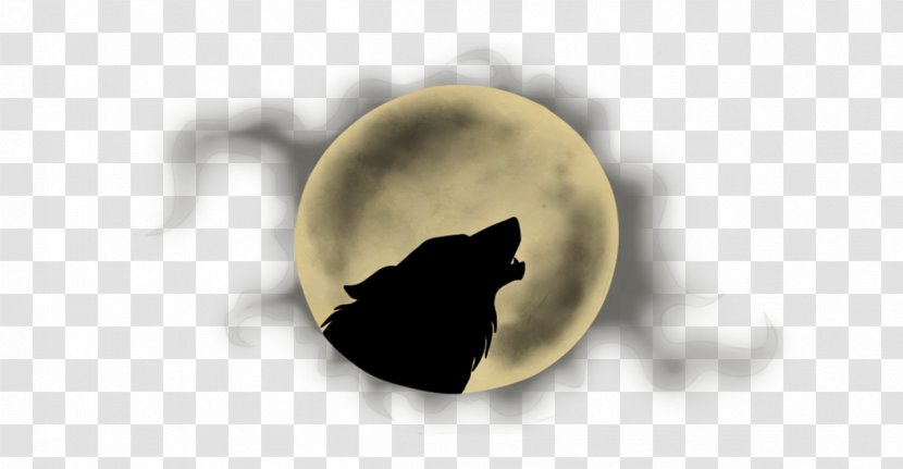 Gray Wolf Siberian Husky Black - Standard Test Image Transparent PNG