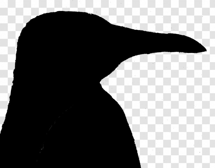 Penguin Water Bird Beak Wing - Neck Transparent PNG