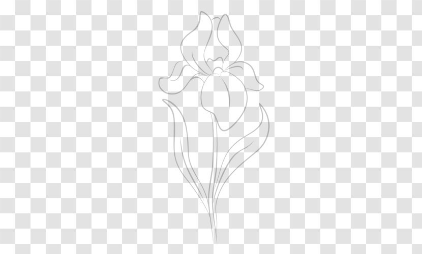 Drawing Floral Design Line Art - Watercolor Flowers Vector Transparent PNG