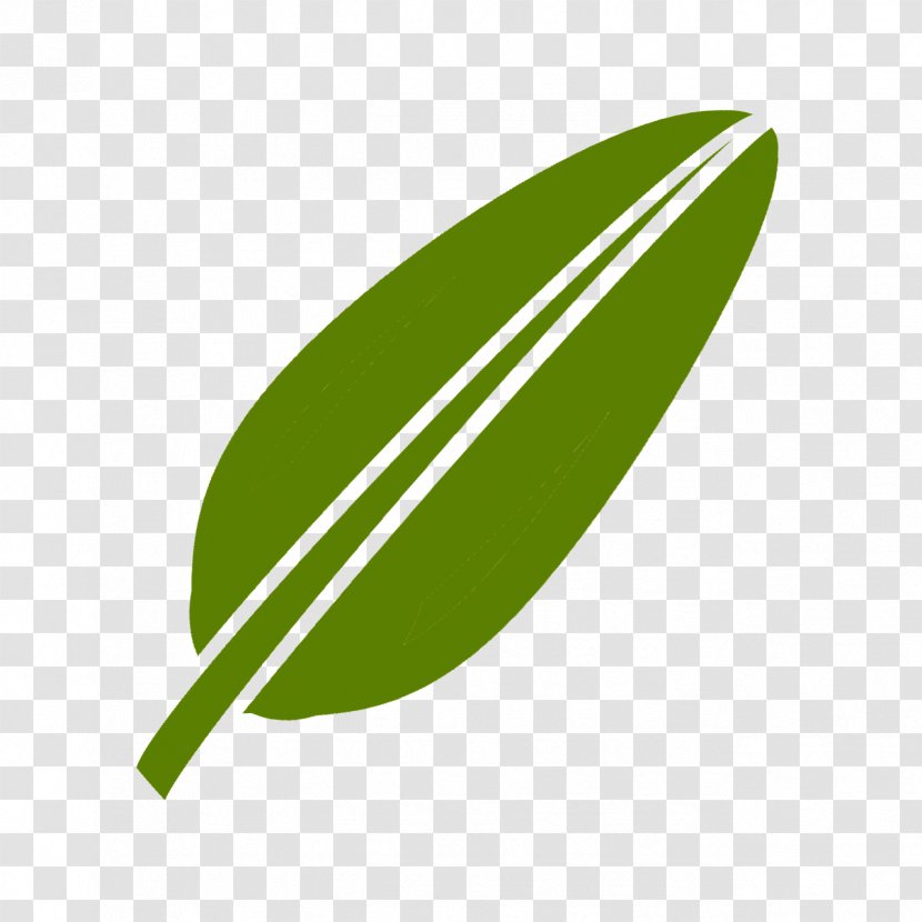 Leaf Green Logo Plant Line - Flower Grass Transparent PNG