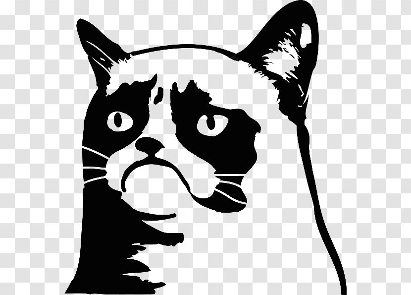 Decal Grumpy Cat Bumper Sticker Paper - Mammal Transparent PNG