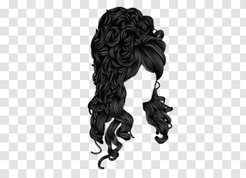 Wig Long Hair Hairstyle Afro-textured - Hairpin Transparent PNG