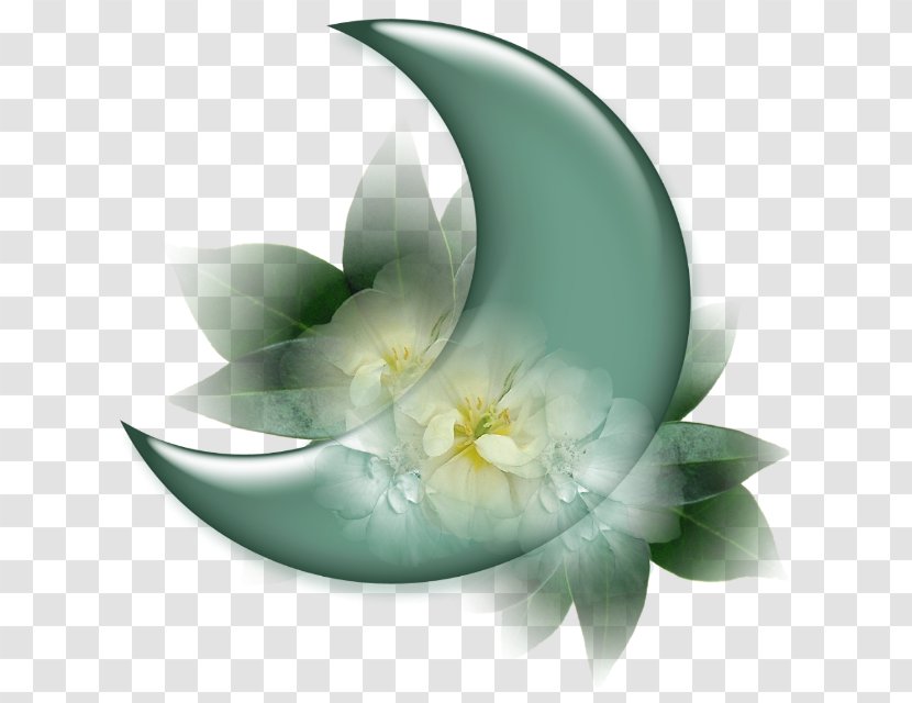 YouTube Sham Ennessim Moon - Vector Ball - Сroissant Transparent PNG