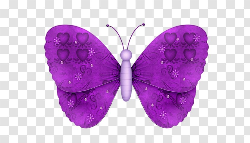 To A Butterfly Image Borboleta - Magenta - Papillon Violet Transparent PNG