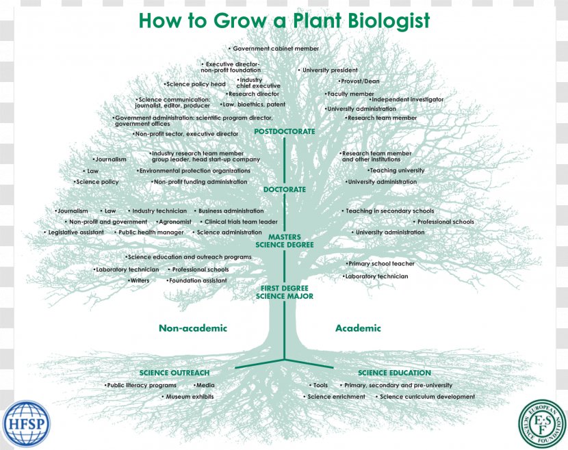 Biology Botany Biologist Science Career - Plant Transparent PNG