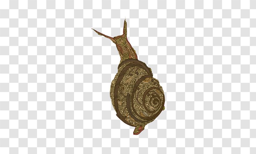 Snail Orthogastropoda Wine Google Images - Resource - Free Hand Drawing Pull Material Transparent PNG
