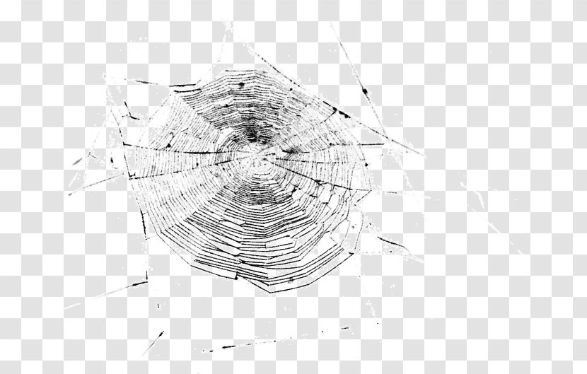 Spider Web Light Photography Pattern - Structure - Black And White Transparent PNG