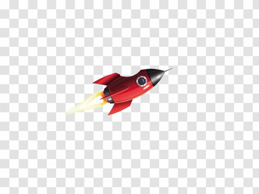 Rocket Download Lidaparu0101ts Google Images - Bird Transparent PNG