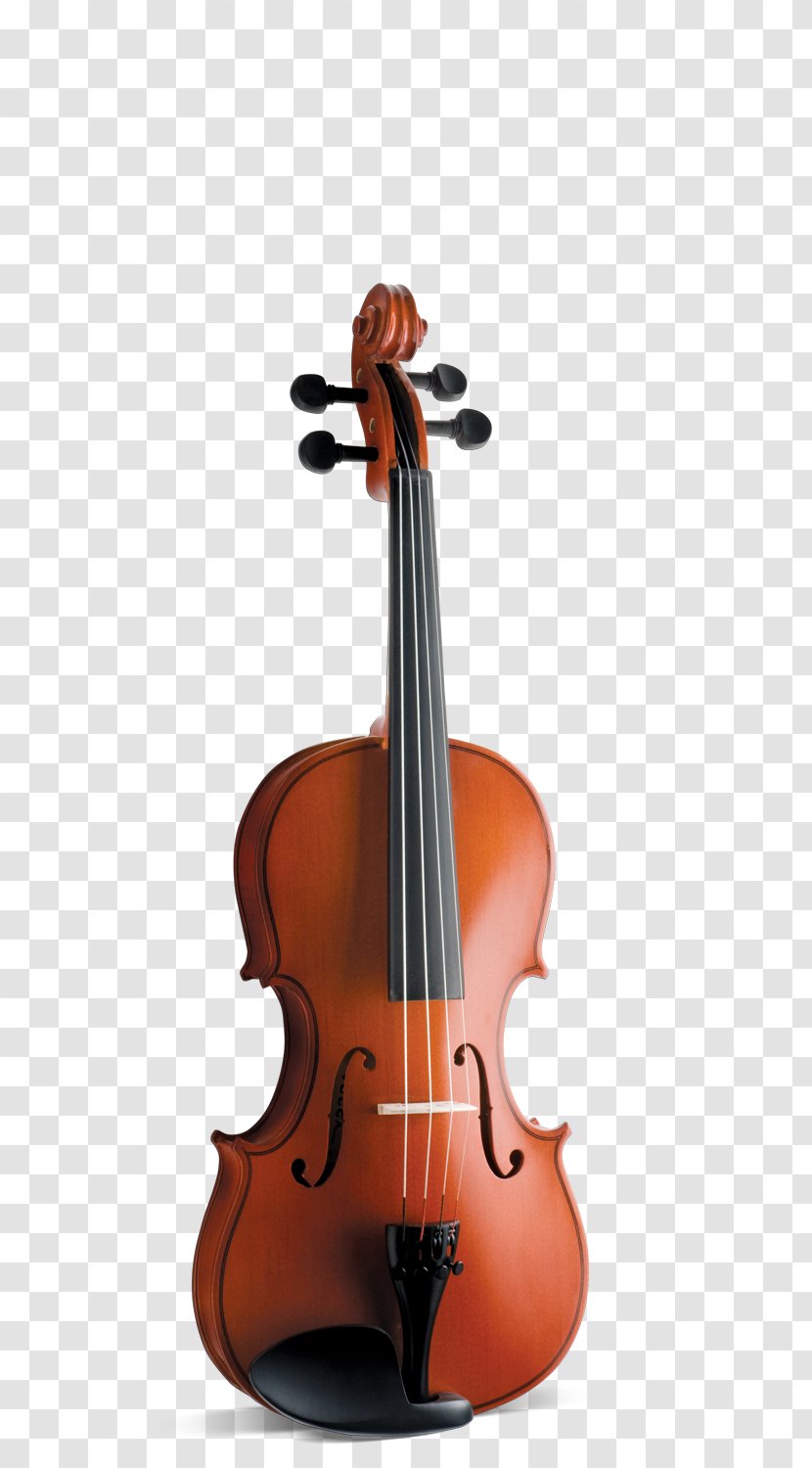 Violin Musical Instruments Bow Viola - Flower - Quest Transparent PNG