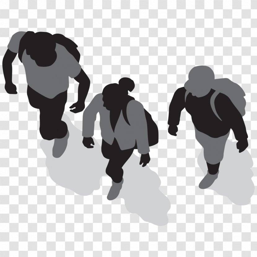 Silhouette Walking Drawing Sport - Photography - Vector Leaflets Transparent PNG