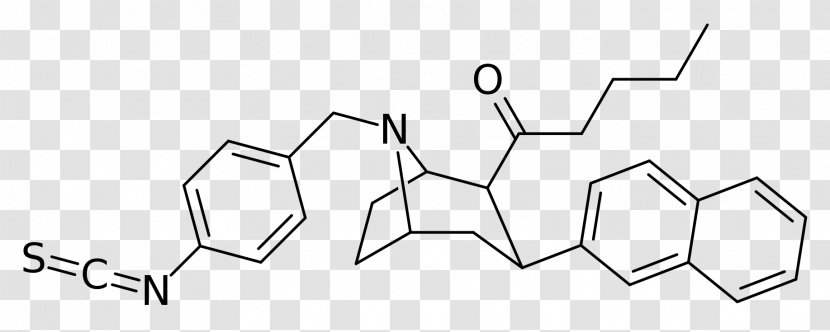 Dichloropane Serotonin–norepinephrine–dopamine Reuptake Inhibitor RTI-31 IC50 Phenyltropane - Diagram - 205 Transparent PNG