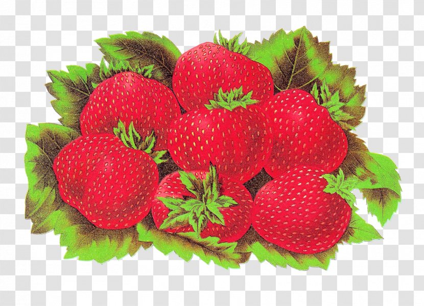 Strawberry Label Shortcake Accessory Fruit Food - Frutti Di Bosco - Illustration Transparent PNG