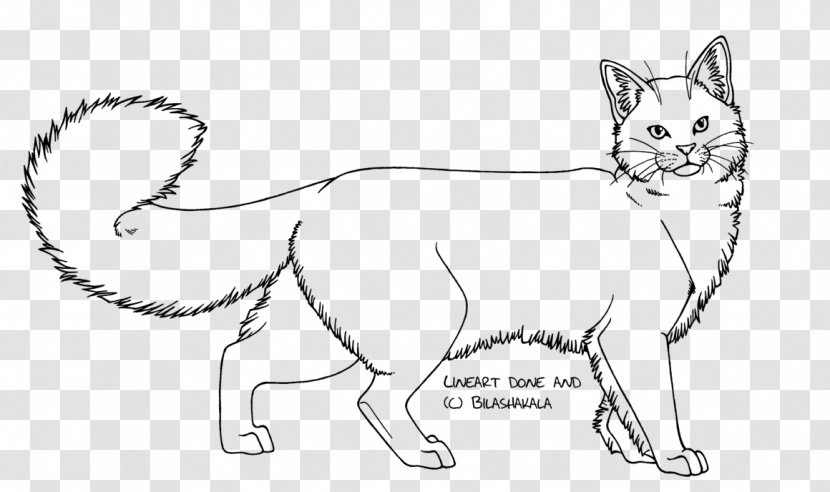 Domestic Long-haired Cat Kitten Line Art Drawing - Painting - Lineart Transparent PNG