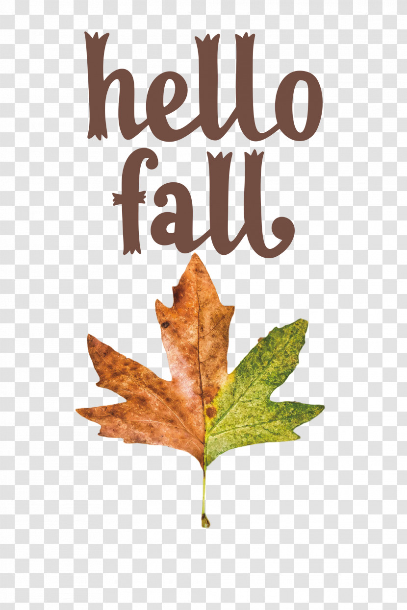 Hello Fall Fall Autumn Transparent PNG