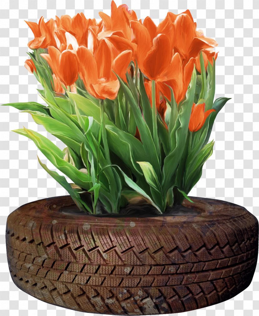 Tulip Floral Design Flower - Information - Bouquet Wheels Transparent PNG
