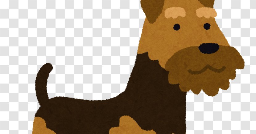 Irish Terrier Airedale Puppy Hunting Dog - Carnivoran Transparent PNG