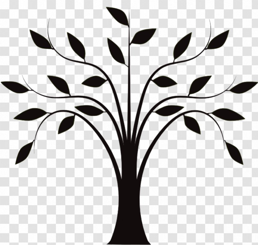 Drawing Tree Trunk Clip Art - Branch Transparent PNG