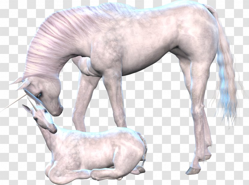 Unicorn Horse Pegasus Clip Art - Snout Transparent PNG