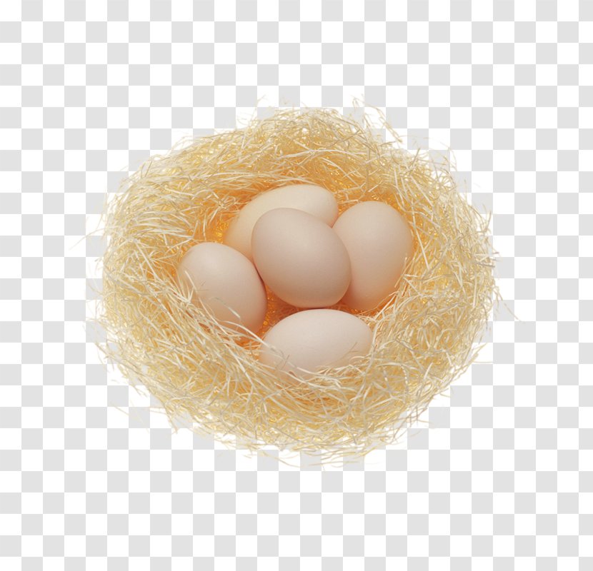 Breakfast Chicken Egg Nutrition Health - Agy - Nest Transparent PNG