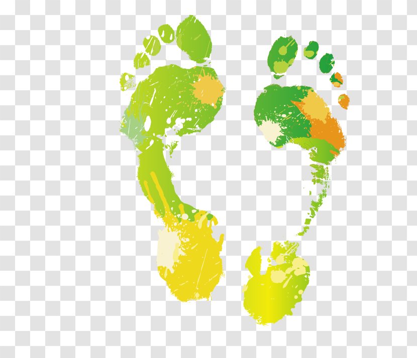 Footprint - Tree - Color Footprints Transparent PNG