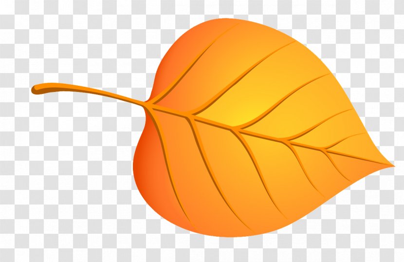 Maple Leaf Birch Autumn - Indexed Color Transparent PNG