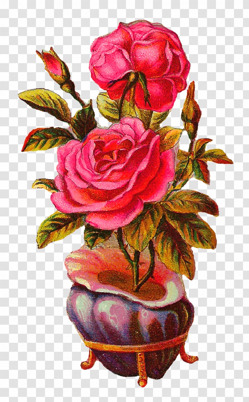 Garden Roses Centifolia Flowerpot Floral Design Vase - Floristry Transparent PNG