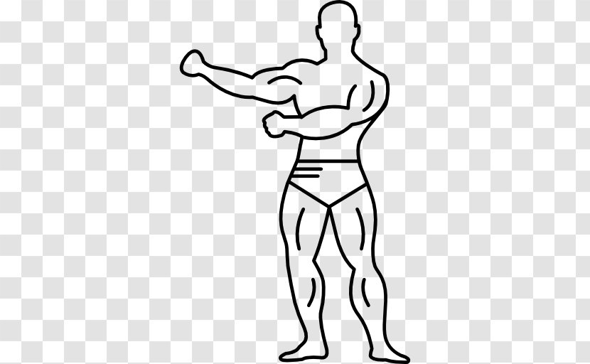 Human Body Muscle Drawing Muscular System - Frame - Milk Strong Muscles Shape Transparent PNG