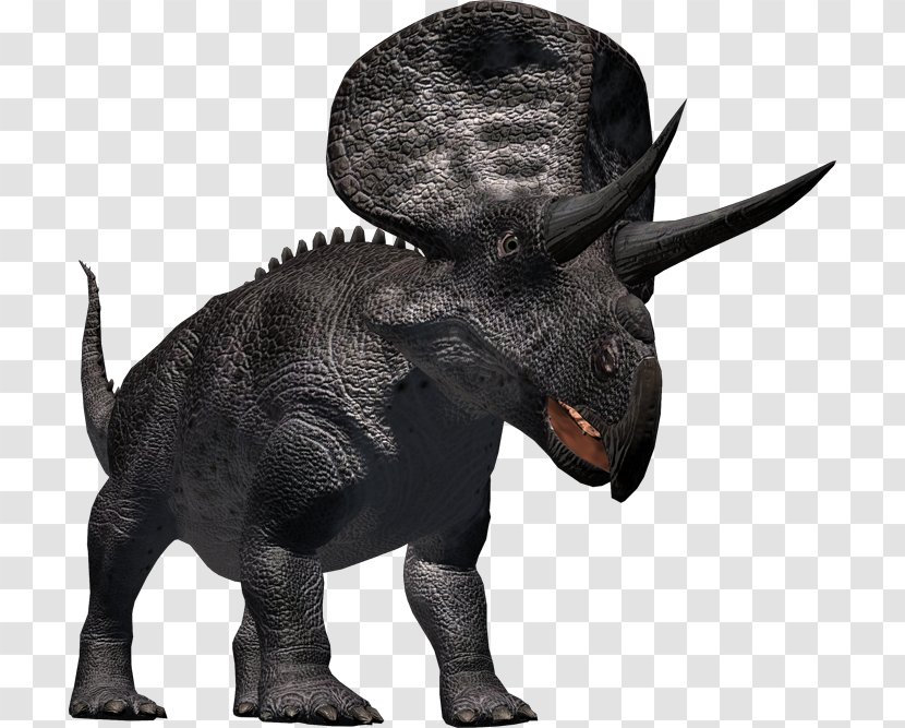 Zuniceratops African Elephant Triceratops Horn Pachycephalosaurus - Snout - Dinosaur Transparent PNG