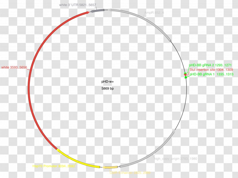 Brand Circle Angle Diagram - Area Transparent PNG