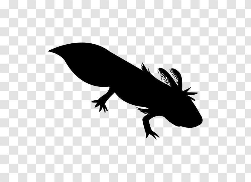 Mole Cartoon - Rubber Stamping - Tail Lizard Transparent PNG