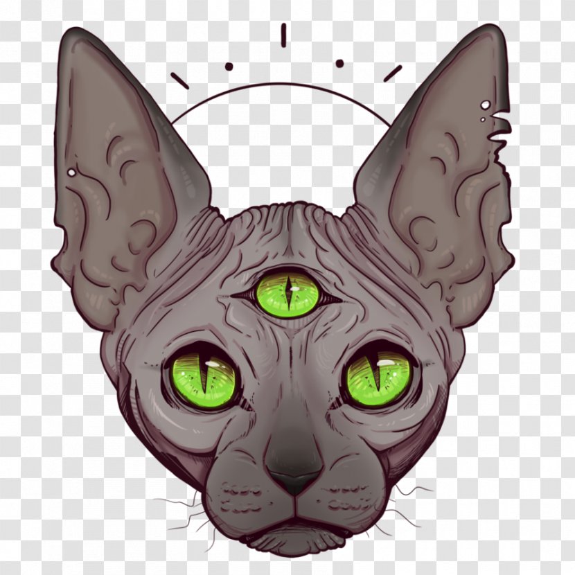 Whiskers Korat Sphynx Cat Kitten Domestic Short-haired - Printmaking - All Seeing Eye Transparent PNG
