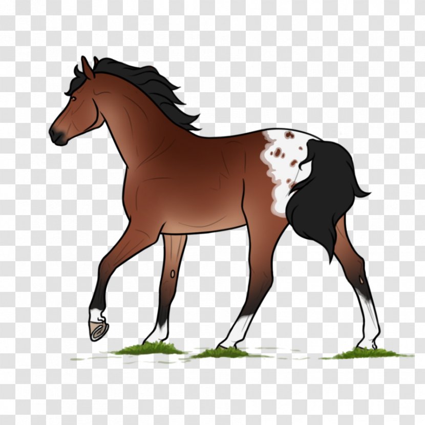 Mustang Foal Stallion Mare Bridle Transparent PNG