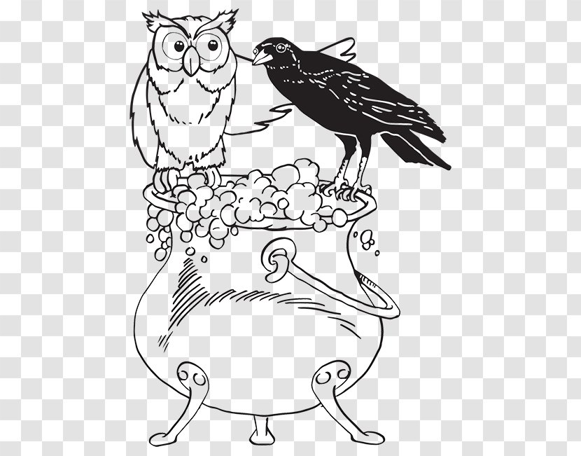 Owl Drawing Line Art Clip - Bird Transparent PNG