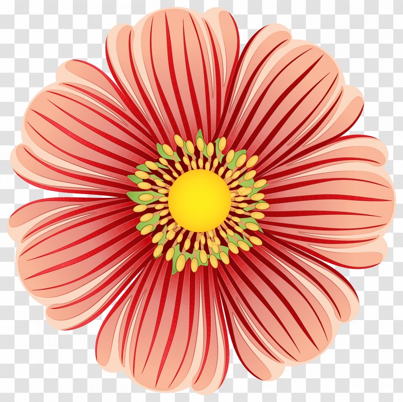 Clip Art Flower Petal Transvaal Daisy - Gazania Transparent PNG