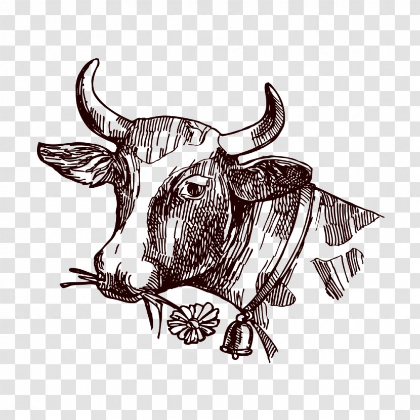 Texas Longhorn Milk Drawing Sketch - Illustration - Creative Cow Transparent PNG