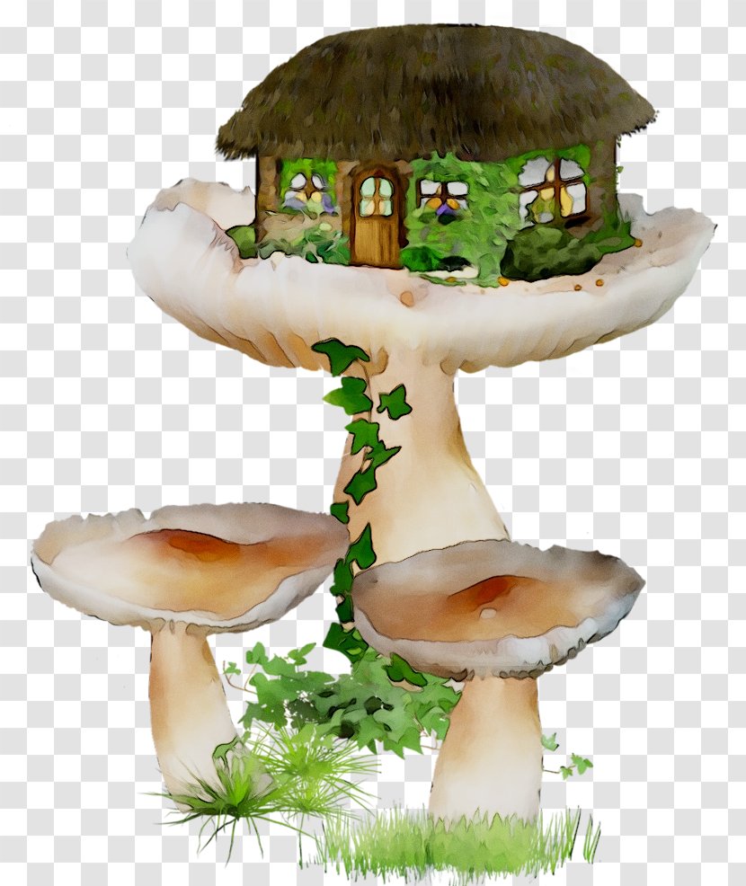 Edible Mushroom Agaricaceae Transparent PNG