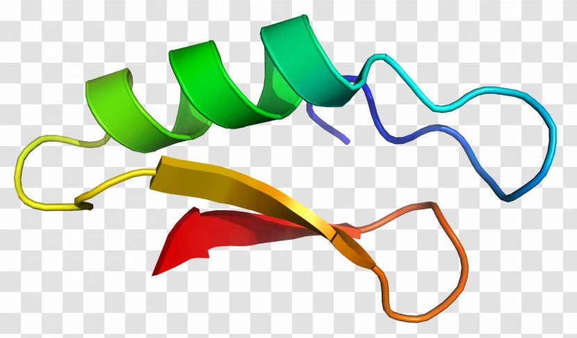 Defensin Plectasin Pseudoplectania Nigrella Antimicrobial Peptides Fungus - Antibiotics Transparent PNG